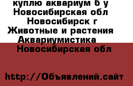куплю аквариум б.у - Новосибирская обл., Новосибирск г. Животные и растения » Аквариумистика   . Новосибирская обл.